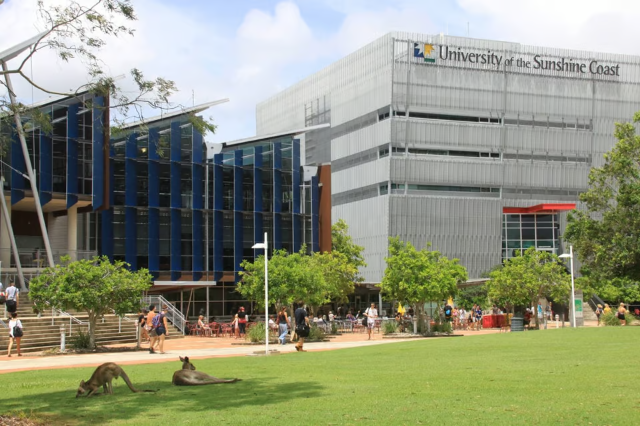 Jenjang Pendidikan University of the Sunshine Coast Australia